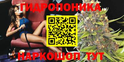 Альфа ПВП Будённовск