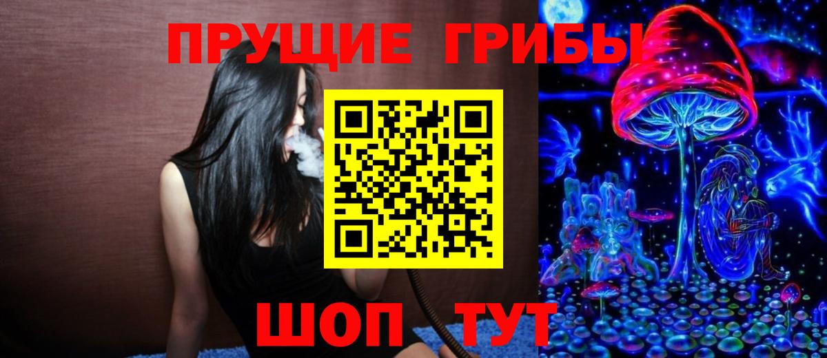 Галлюциногенные грибы прущие грибы  Псилоцибиновые грибы GOLDEN TEACHER  Вход с VPN  Новосибирск 